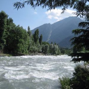 JAMMU